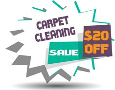 Carpet Cleaning special offers